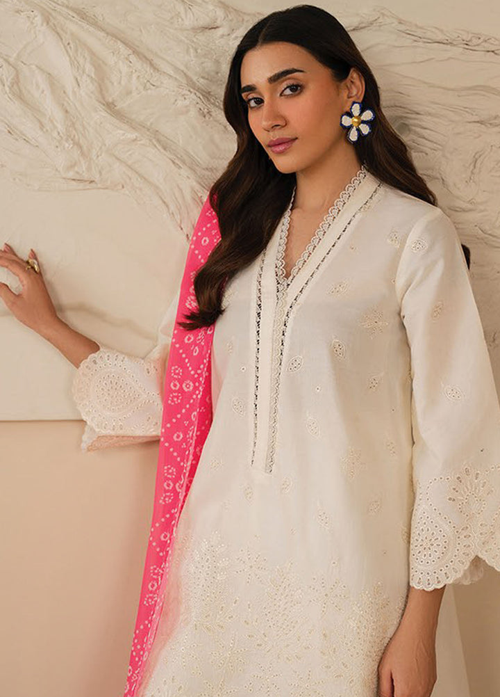 Xenia Embroidered Lawn Suits Unstitched 3 Piece XE25UL D-05 Sable A - Summer Collection