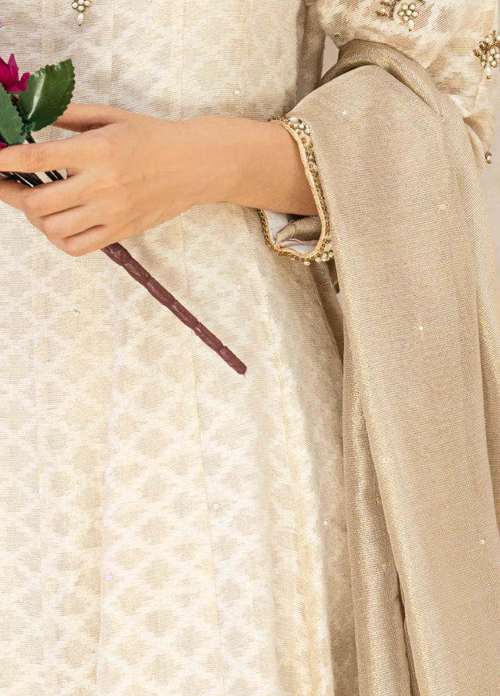 Zaaviay Pret Embroidered Cotton Net 2 Piece Suit Ilsa