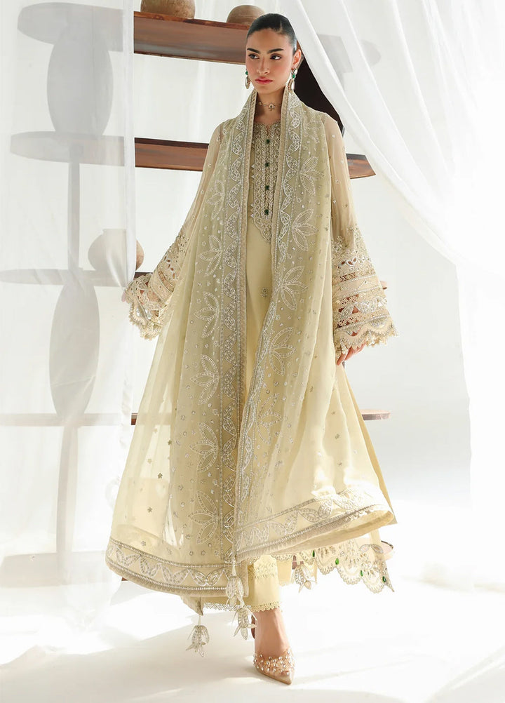 Qalamkar Unstitched Embroidered Chiffon 3 Piece Suit QLK26UCF Deena QCC-01 - Festive Collection