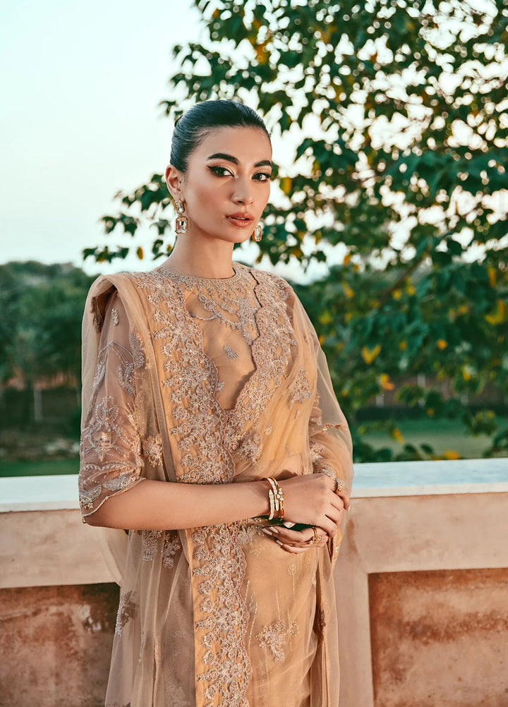 Florent Embroidered Organza Suits Unstitched 3 Piece FL25FU FL-07 - Formals Collection