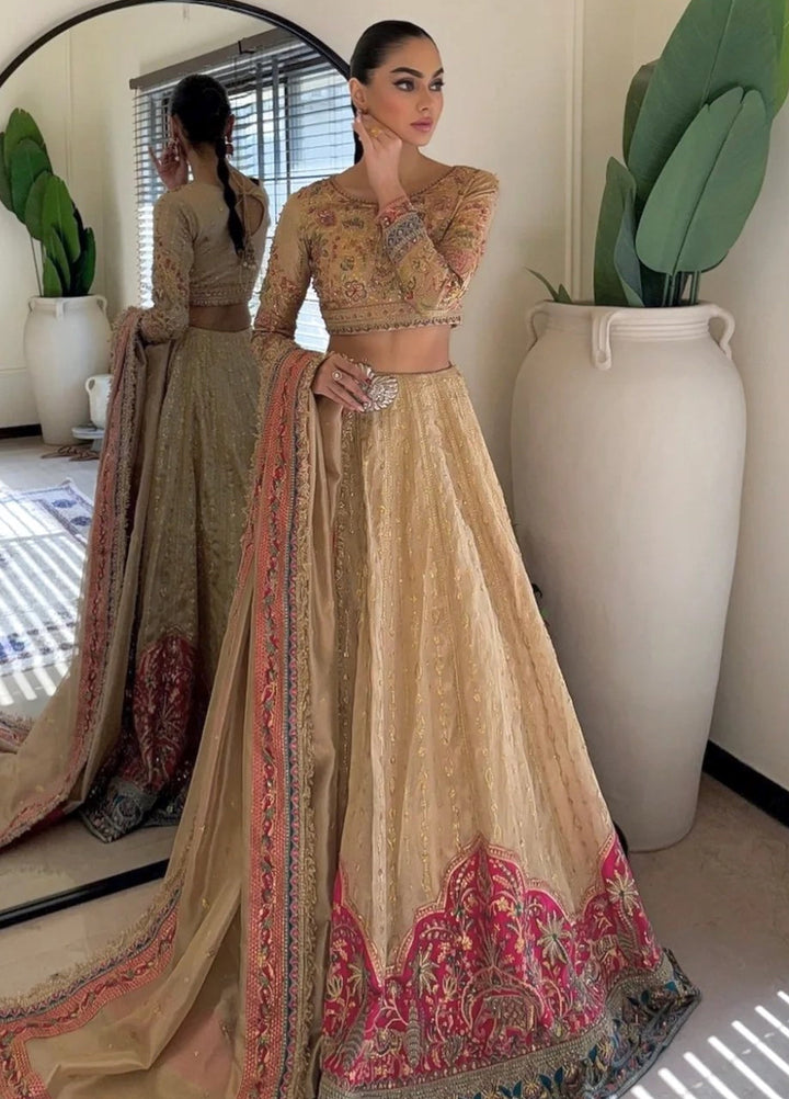 Jhil Mil by Maria Osama Khan Embroidered Tissue Suits Unstitched 3 Piece MOK25JM Danak - Wedding Collection