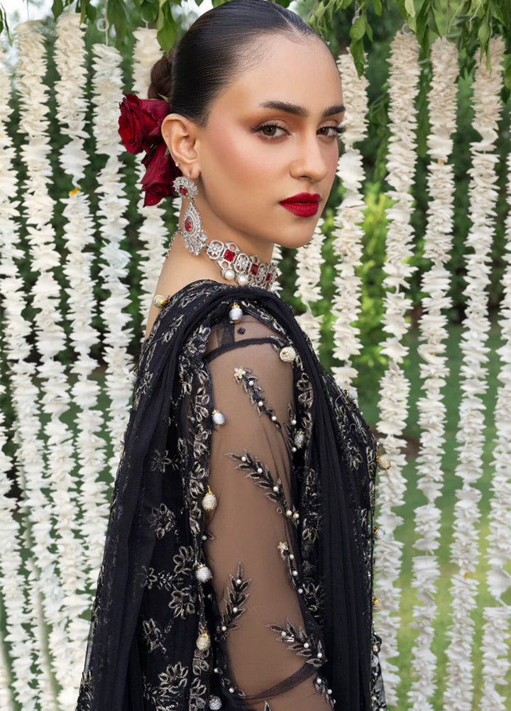 Rang Rasiya Embroidered Cotton Net Suits Unstitched 3 Piece RR25WF D-05 Natasha - Wedding Collections
