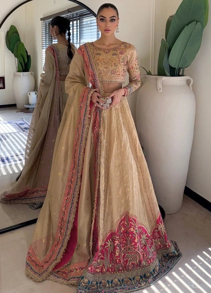Jhil Mil by Maria Osama Khan Embroidered Tissue Suits Unstitched 3 Piece MOK25JM Danak - Wedding Collection