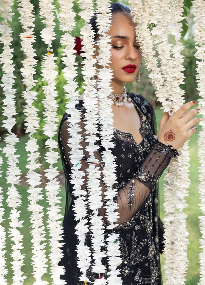 Rang Rasiya Embroidered Cotton Net Suits Unstitched 3 Piece RR25WF D-05 Natasha - Wedding Collections