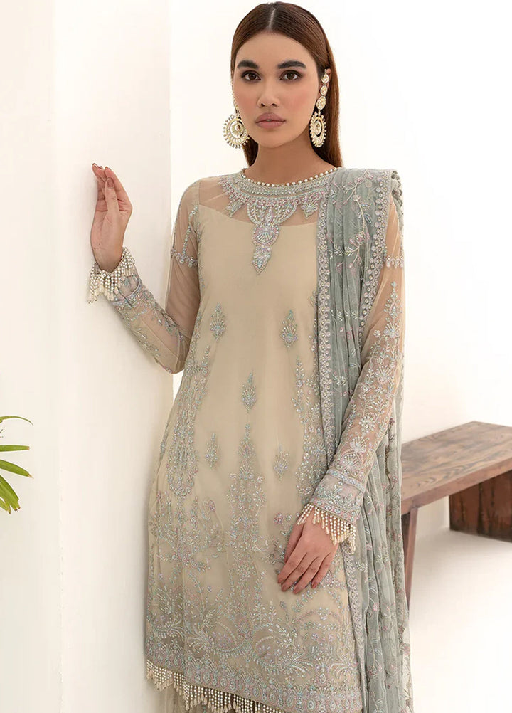 Nazneen By Zarif Embroidered Net Suits Unstitched 4 Piece ZR25UF ZN 04 Moon Light - Luxury Formal Collection