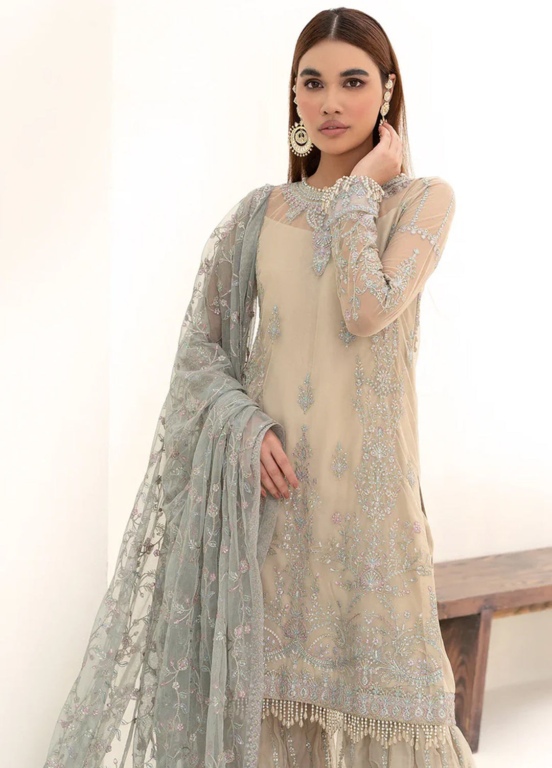Nazneen By Zarif Embroidered Net Suits Unstitched 4 Piece ZR25UF ZN 04 Moon Light - Luxury Formal Collection
