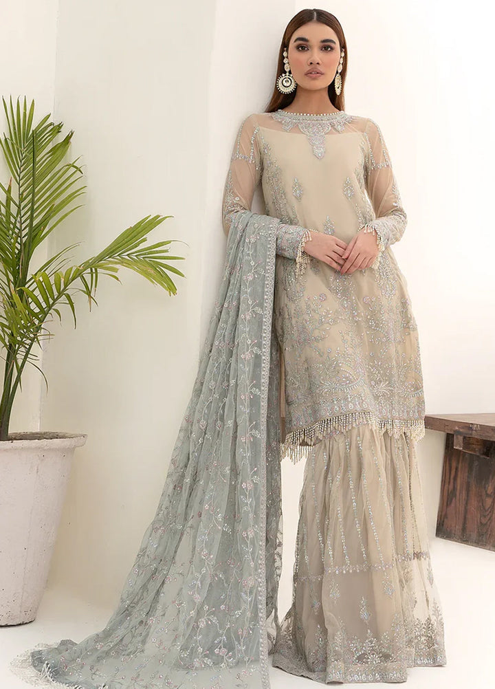 Nazneen By Zarif Embroidered Net Suits Unstitched 4 Piece ZR25UF ZN 04 Moon Light - Luxury Formal Collection