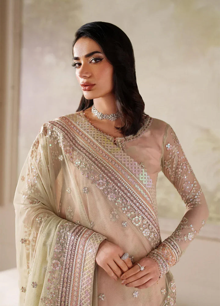 Zarif Embroidered Net Suits Unstitched 3 Piece ZR25UF ZRF-ZPE-04 Seriyah - Formals Collection