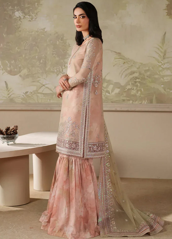 Zarif Embroidered Net Suits Unstitched 3 Piece ZR25UF ZRF-ZPE-04 Seriyah - Formals Collection