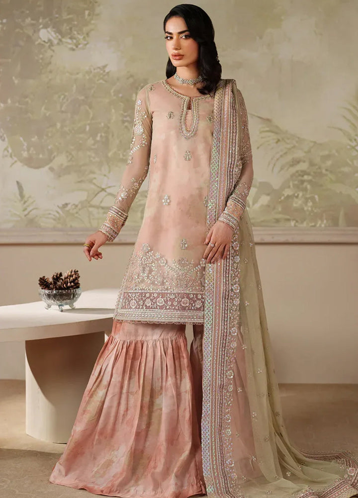 Zarif Embroidered Net Suits Unstitched 3 Piece ZR25UF ZRF-ZPE-04 Seriyah - Formals Collection
