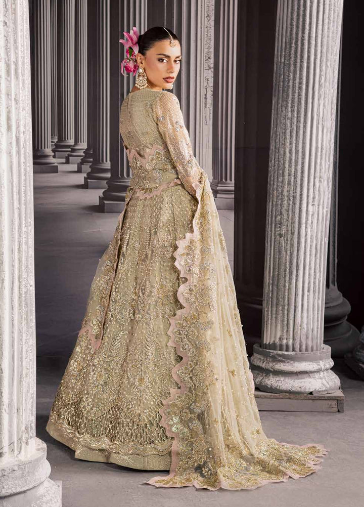 Muse Formal by Nureh Unstitched Embroidered Net 3 Piece Suit NU26UMF NFM-03 - Wedding Collection