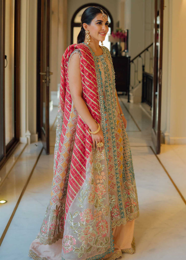 Desi Wedding Ho Rae Hai by Crimson Embroidered Organza Suits Unstitched 3 Piece CR22WD 6B Rose - Wedding Collection