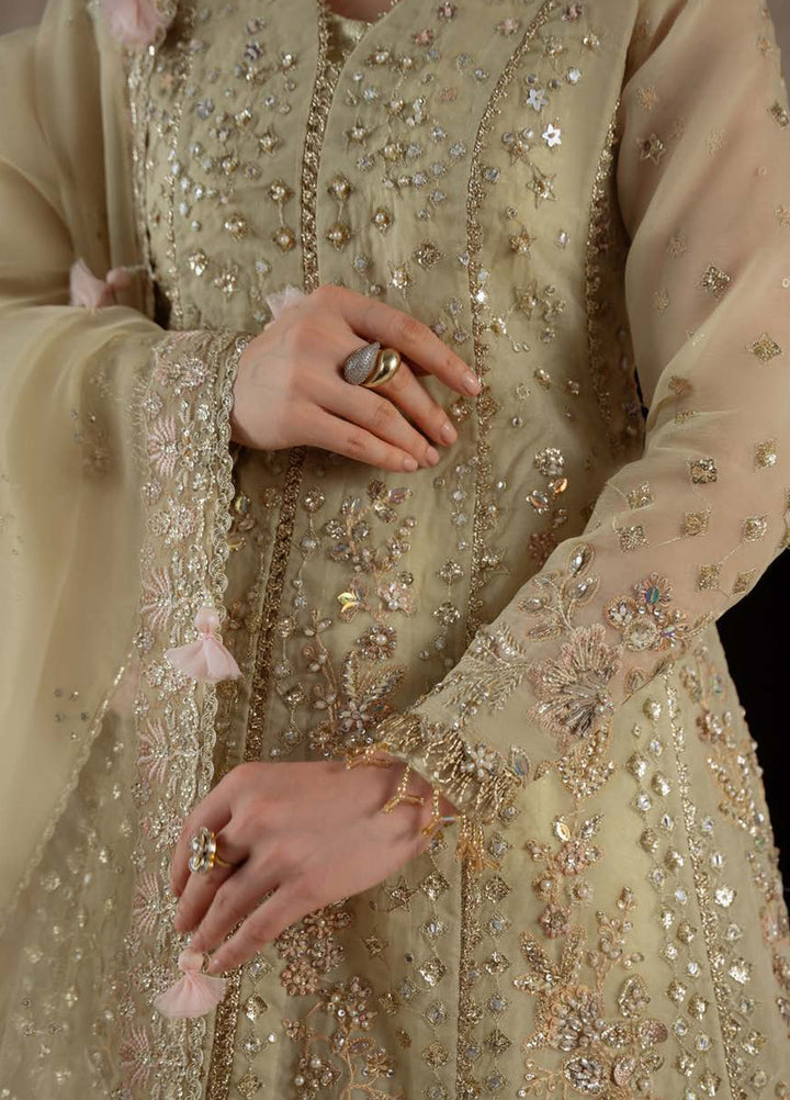 Ember by Aylin Unstitched Embroidered Organza  3 Piece Suit AY26UEW Reverie - Wedding Collection