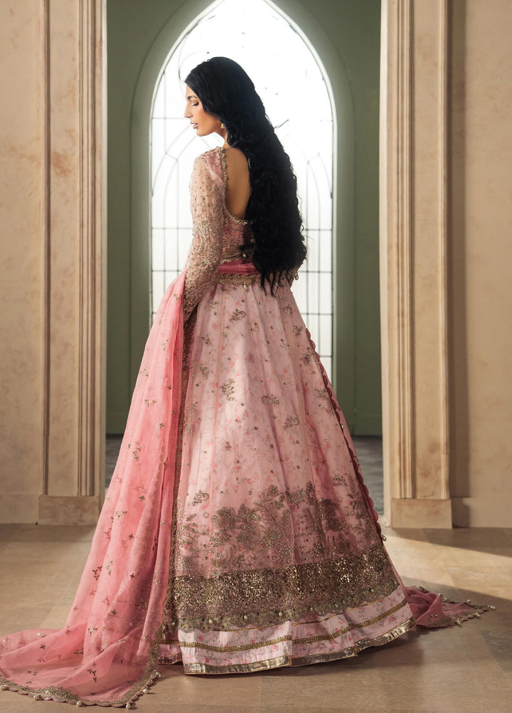Luminara by Ayzel Unstitched Embroidered Organza 3 Piece Suit AAF26UWL RHEALM AYZ-175 - Wedding Collection