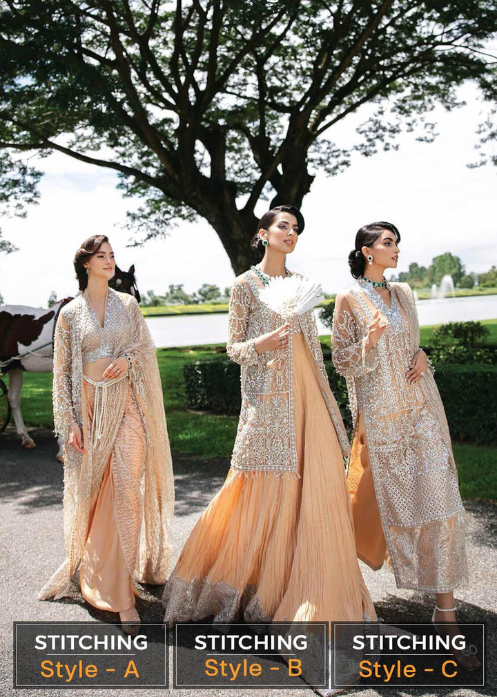 Serendipity by Mushq Embroidered Net Suits Unstitched 4 Piece MQ22S TDL22-01 Isabelle - Luxury Wedding Collection