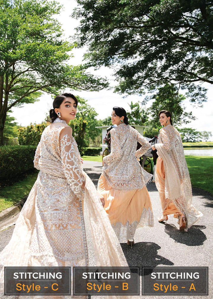 Serendipity by Mushq Embroidered Net Suits Unstitched 4 Piece MQ22S TDL22-01 Isabelle - Luxury Wedding Collection