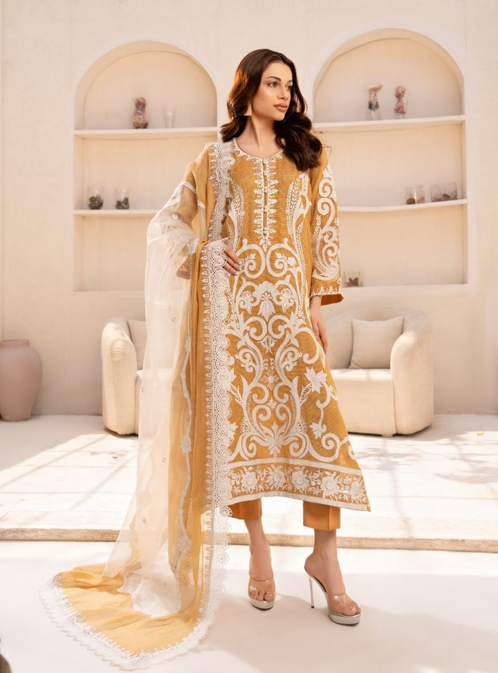 Irtiqa by Anayra Amal RTW Embroidered Organza 3 Piece Suit Elan Festive Collection
