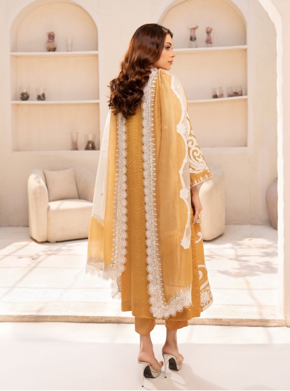 Irtiqa by Anayra Amal RTW Embroidered Organza 3 Piece Suit Elan Festive Collection