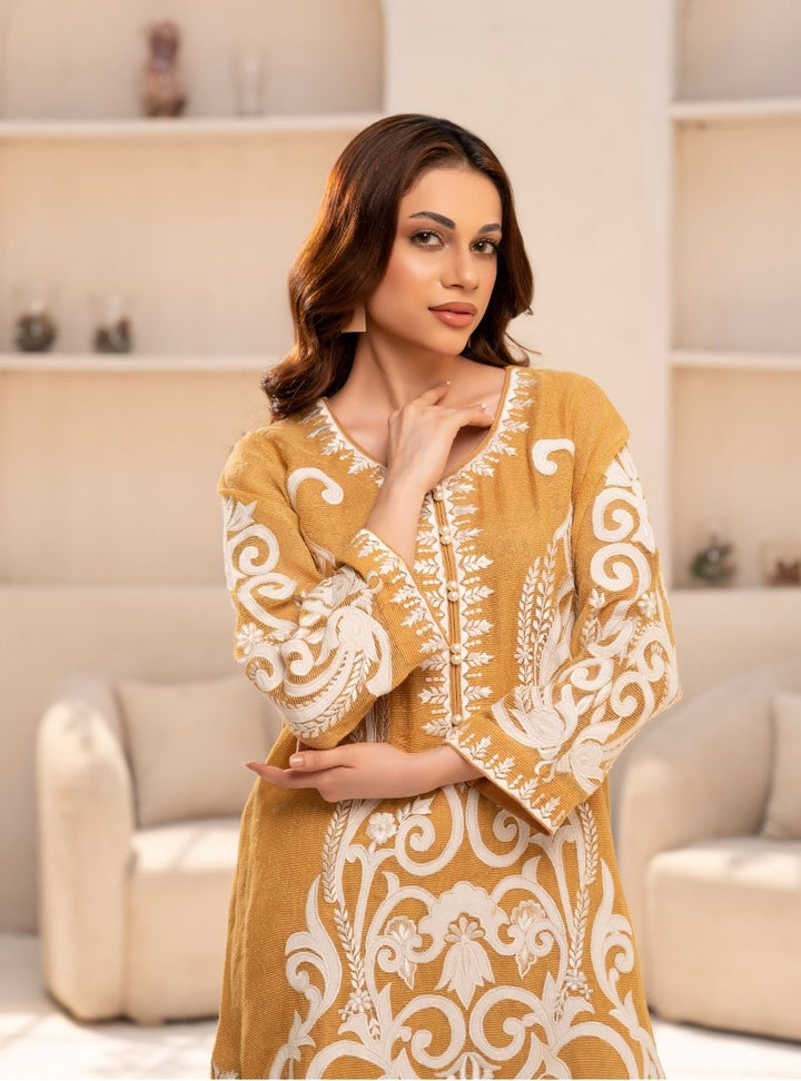 Irtiqa by Anayra Amal RTW Embroidered Organza 3 Piece Suit Elan Festive Collection