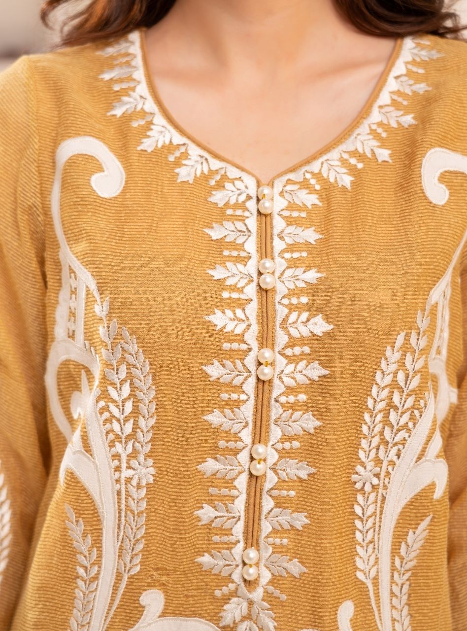 Irtiqa by Anayra Amal RTW Embroidered Organza 3 Piece Suit Elan Festive Collection