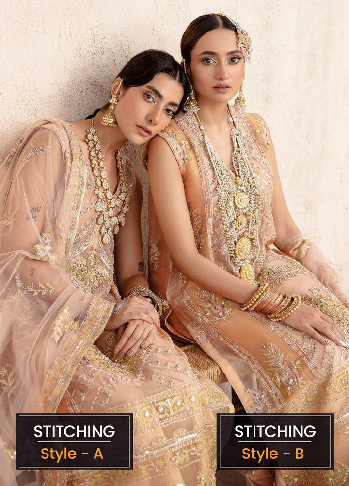 Sakhiyan by Asifa & Nabeel Embroidered Missouri Suits Unstitched 3 Piece AN22SSF-06 Sila - Festive Collection