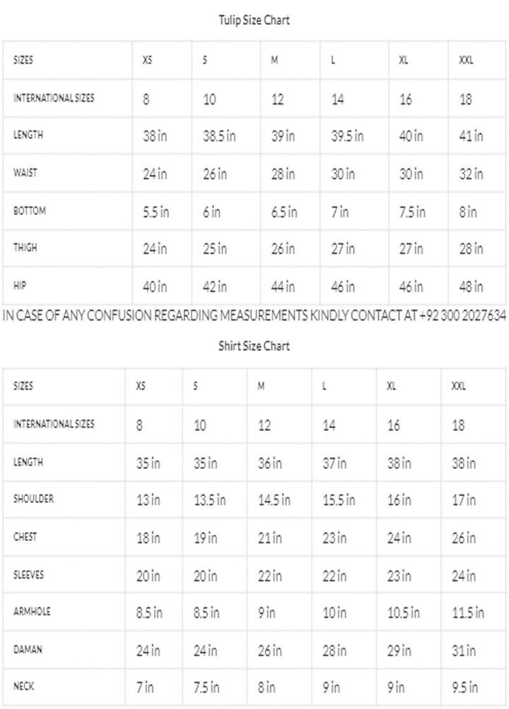 Zaaviay Luxury Pret Embroidered Velvet 2 Piece Suit ZBHM22-11 ZARNISH