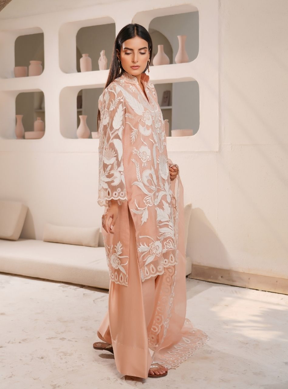 Irtiqa by Anayra Amal RTW Embroidered Organza 3 Piece Suit Afsaneh Festive Collection