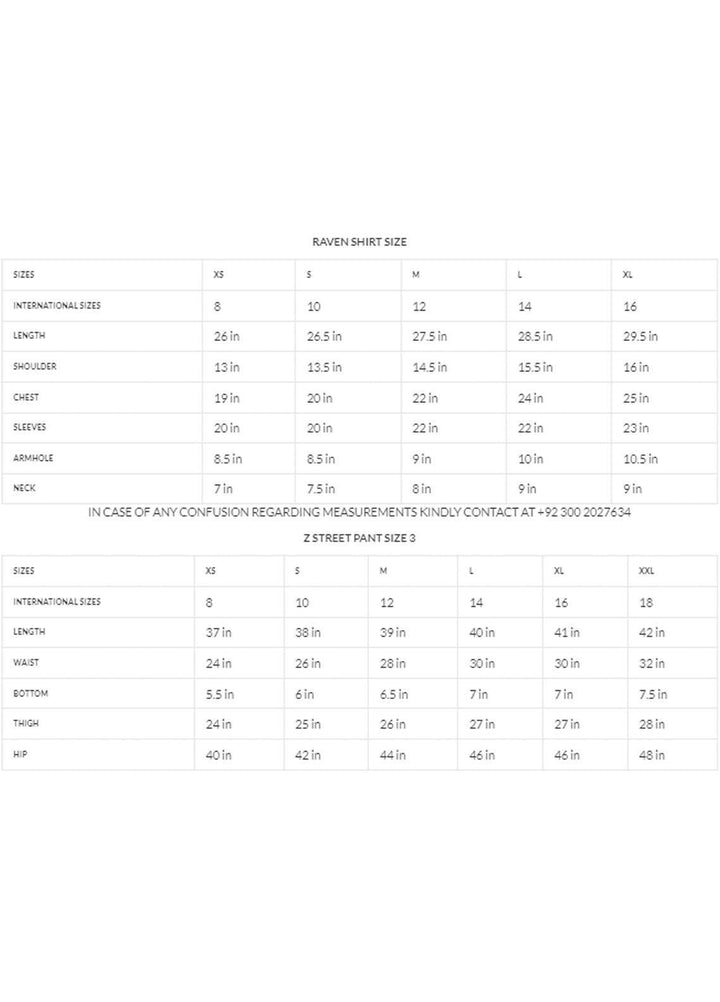 Zaaviay Pret  Cotton Silk 2 Piece Dress ZSZ23-023 RAVEN