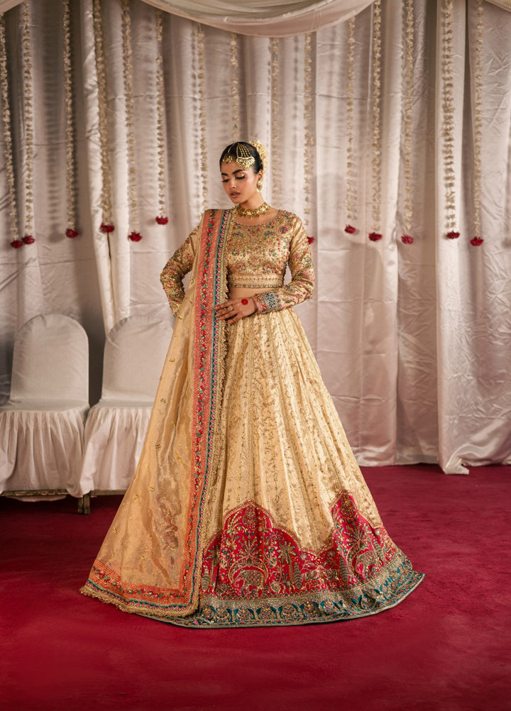 Jhil Mil by Maria Osama Khan Embroidered Tissue Suits Unstitched 3 Piece MOK25JM Danak - Wedding Collection