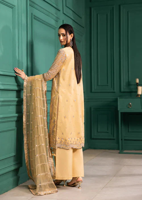 Ramz O Raaz by Ruby Suleiman Women Pret Net Dune Sparkle - Festive Collection