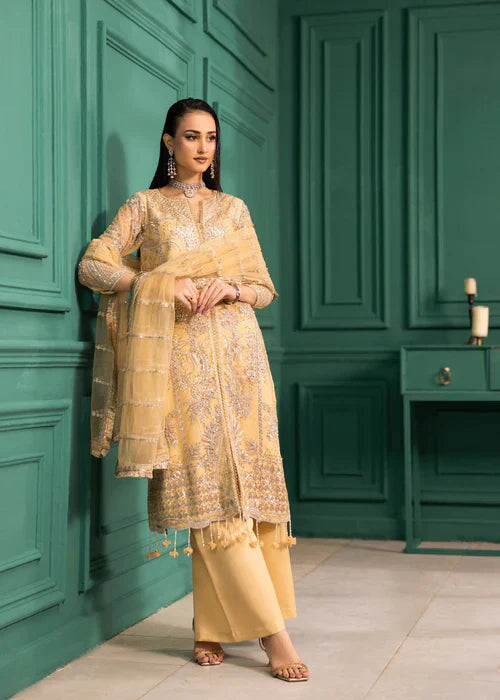 Ramz O Raaz by Ruby Suleiman Women Pret Net Dune Sparkle - Festive Collection