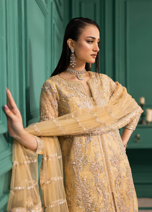 Ramz O Raaz by Ruby Suleiman Women Pret Net Dune Sparkle - Festive Collection