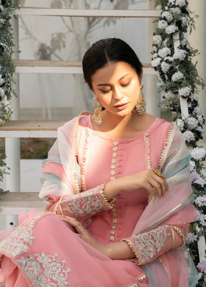 Lotus by Hem Pret Embroidered Organza 4 Piece Suit Light Pink