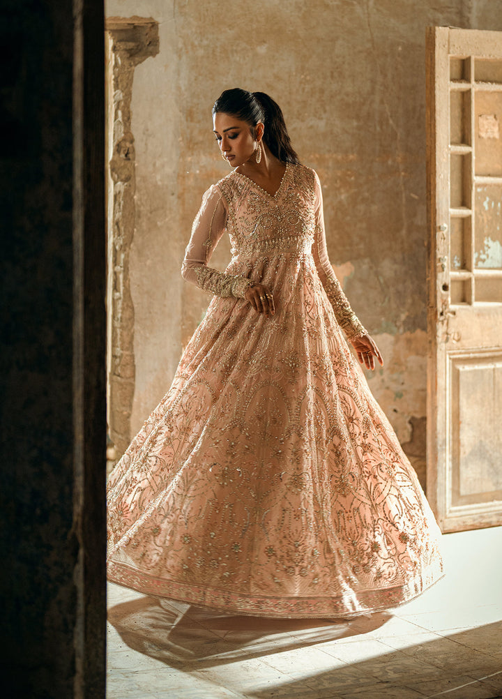 Sahane The Wedding Chapter Unstitched Organza 3 Piece Suit CT 36002 Florisse- Formals Collection