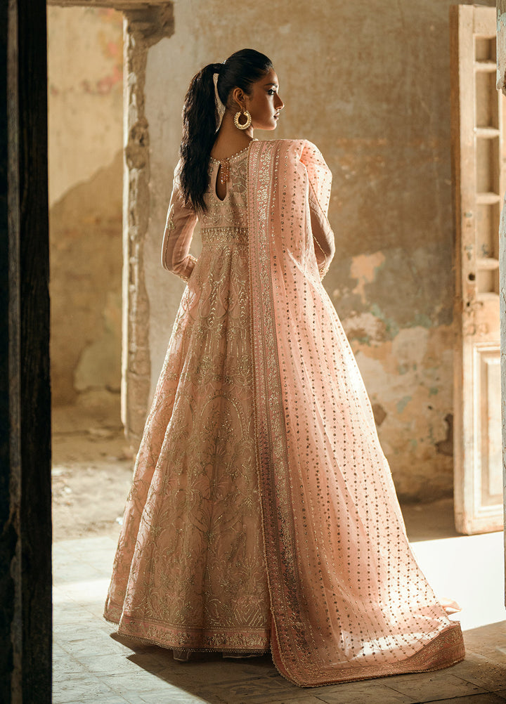 Sahane The Wedding Chapter Unstitched Organza 3 Piece Suit CT 36002 Florisse- Formals Collection