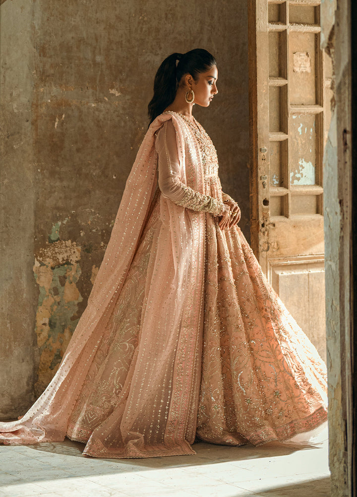 Sahane The Wedding Chapter Unstitched Organza 3 Piece Suit CT 36002 Florisse- Formals Collection