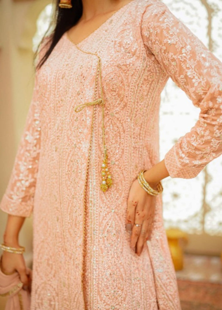 Shadiyan by Al Siyaab Pret 3 Piece Embroidered Chiffon Janaan Peach - Festive Collection
