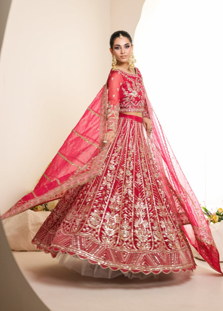 Naqash e Naaz by Waresha 3 Piece Hand work Organza WB-04 GULNAAR - Formals Collection