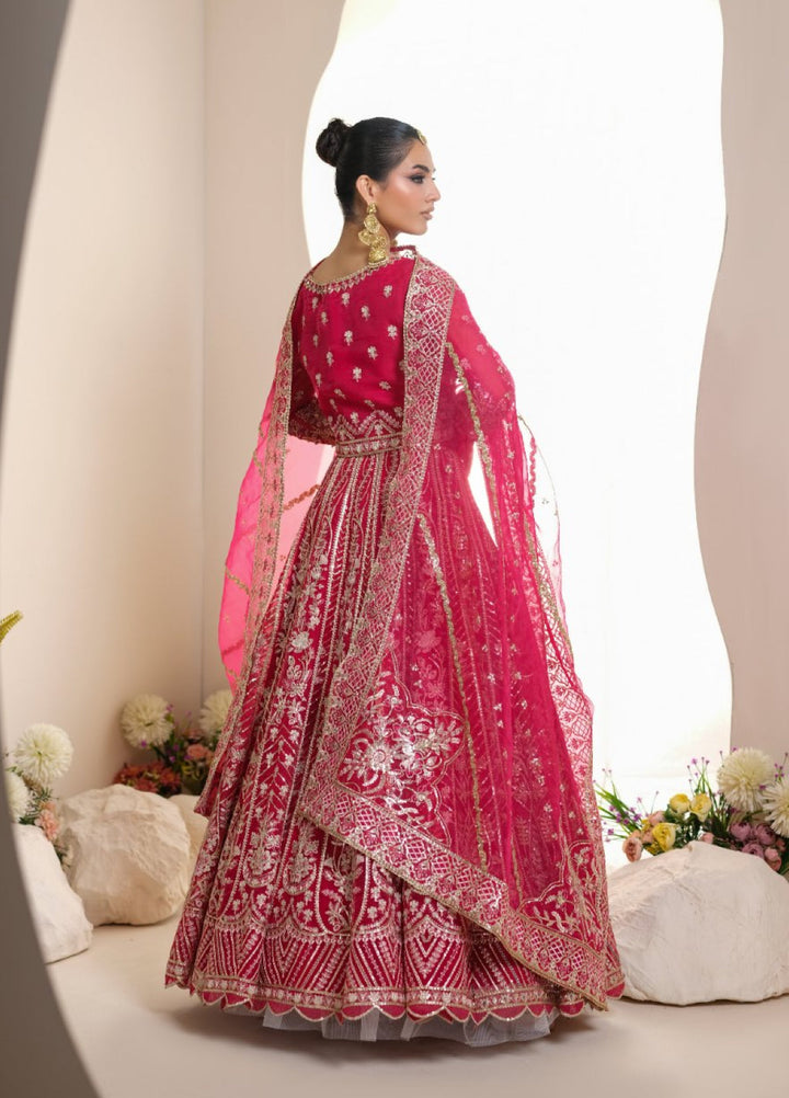 Naqash e Naaz by Waresha 3 Piece Hand work Organza WB-04 GULNAAR - Formals Collection