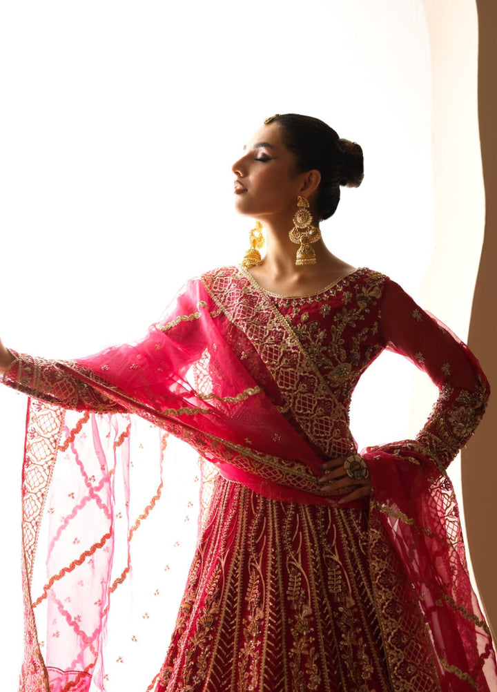 Naqash e Naaz by Waresha 3 Piece Hand work Organza WB-04 GULNAAR - Formals Collection