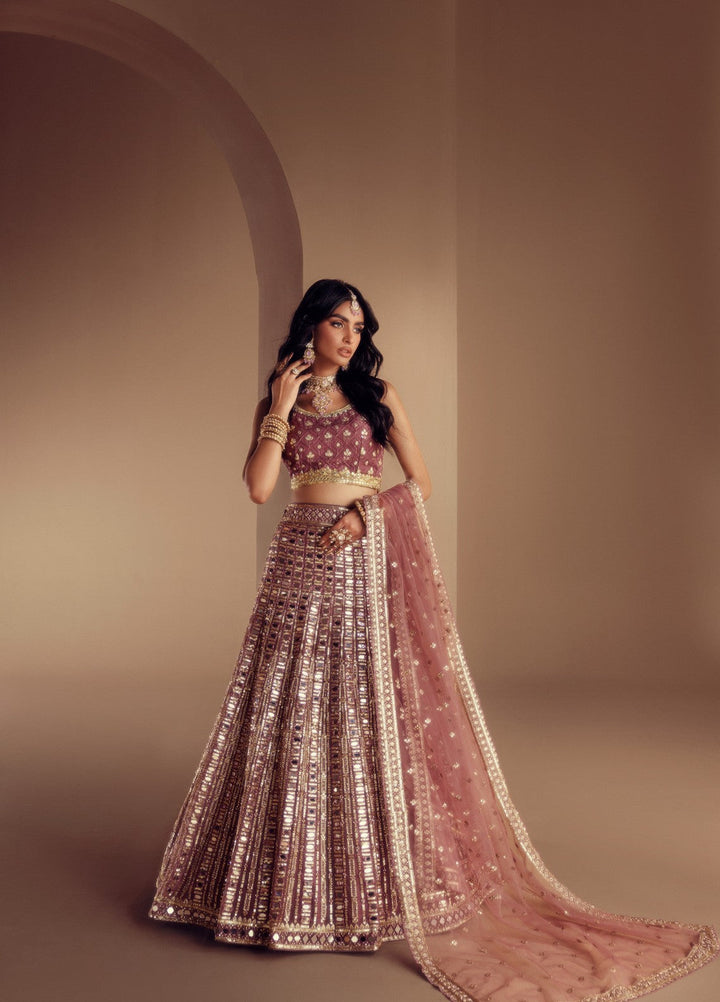 Elaya by House of Nyyra Unstitched 3 Piece Hand work Mauve Saree - Wedding Collection