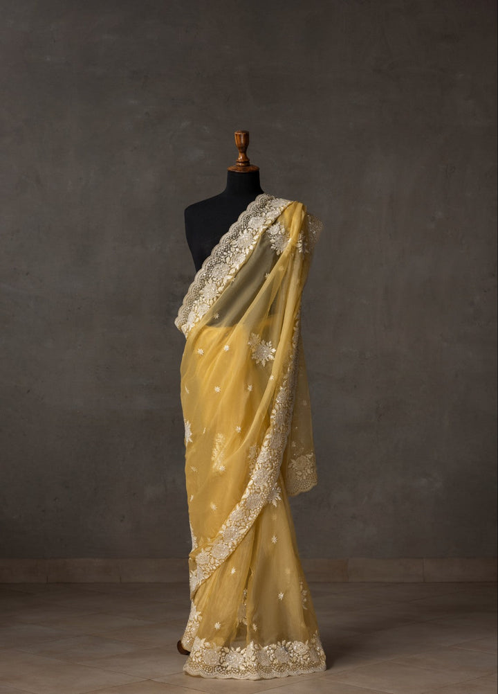 Elaya by House of Nyyra Unstitched 2 Piece Embroidered Pale Saree - Formals Collection