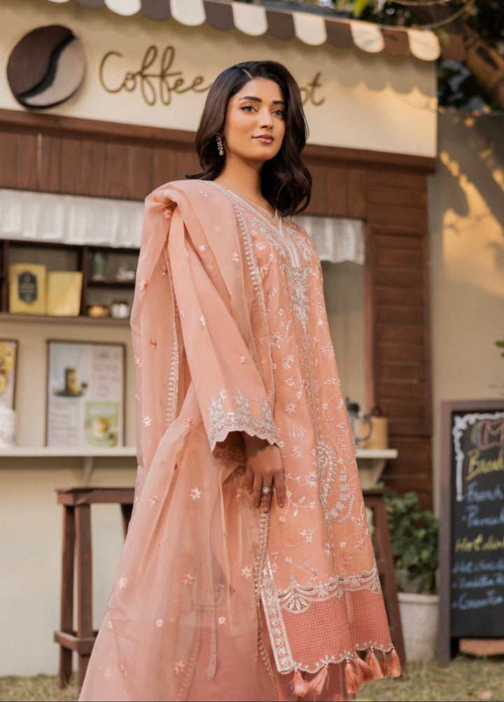 Blue Moon by Ruby Suleiman Pret 3 Piece Embroidered Viscose with Organza Blushing Ember - Casual Collection