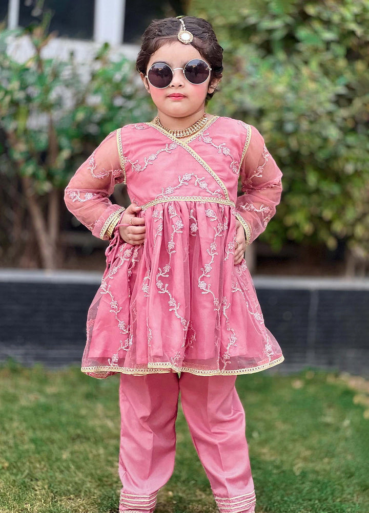 Modest Girls Pret Embroidered Net 3 Piece Suit Tea Pink - Wedding Collection