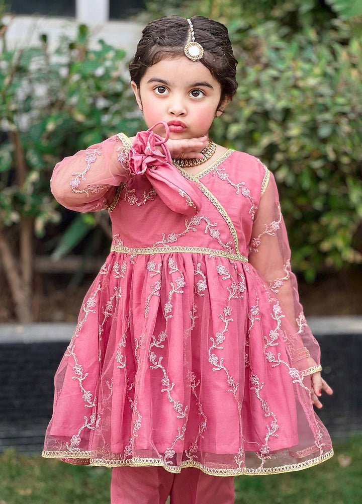 Modest Girls Pret Embroidered Net 3 Piece Suit Tea Pink - Wedding Collection