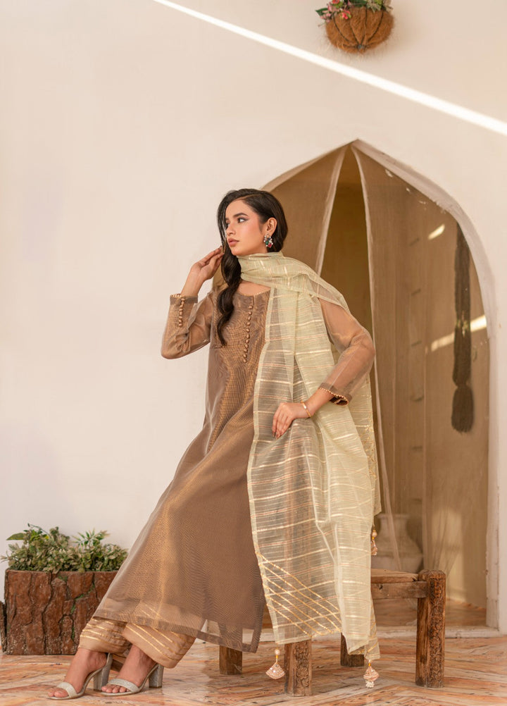 Madiha Gohar Women RTW Embossed Cotton Net 3 Piece Zarnah - Eid Collection