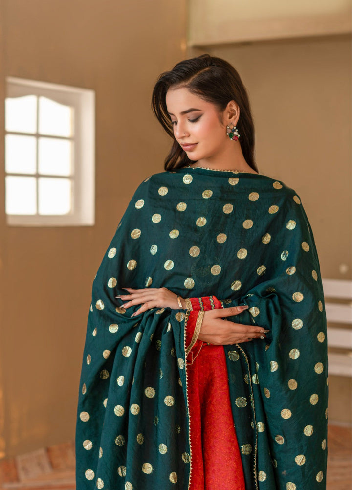 Madiha Gohar Women RTW Embroidered Shimmer Chiffon 3 Piece Mehrzaad Kalidaar - Eid Collection