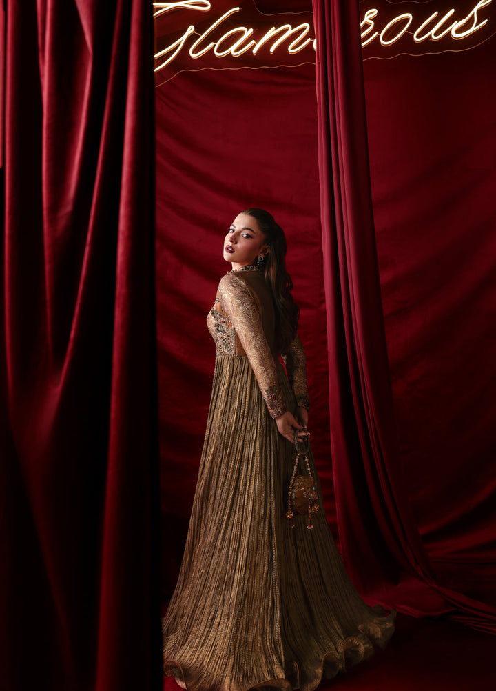 The Glamorous by Musferah Saad RTW Hand work Organza 2 Piece Suit Ethereal Light - Wedding Collection
