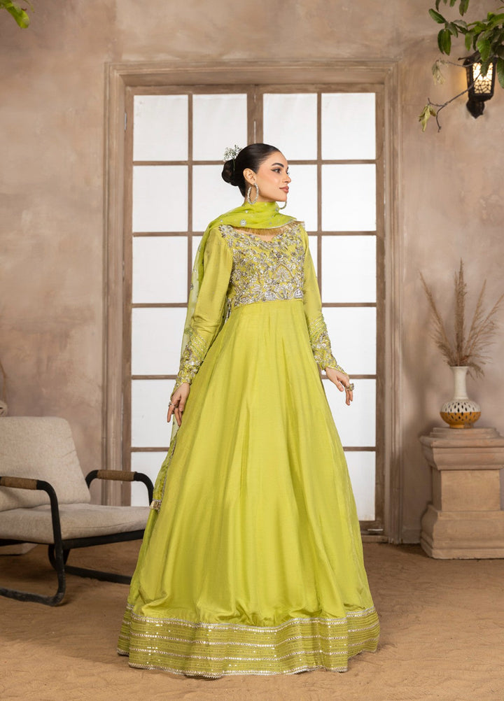 Afsana e Noor by Ibraysha RTW Hand work Raw Silk 2 Piece Suit Noor-Ul-Ain - Wedding Collection