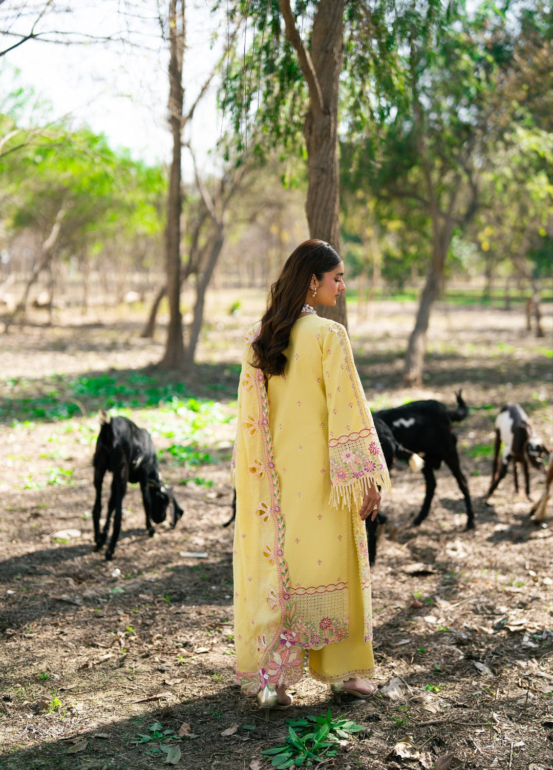Aura of Flora by Zarizaa Unstitched Embroidered Lawn 3 Piece Suit HONEY Lawn Collection